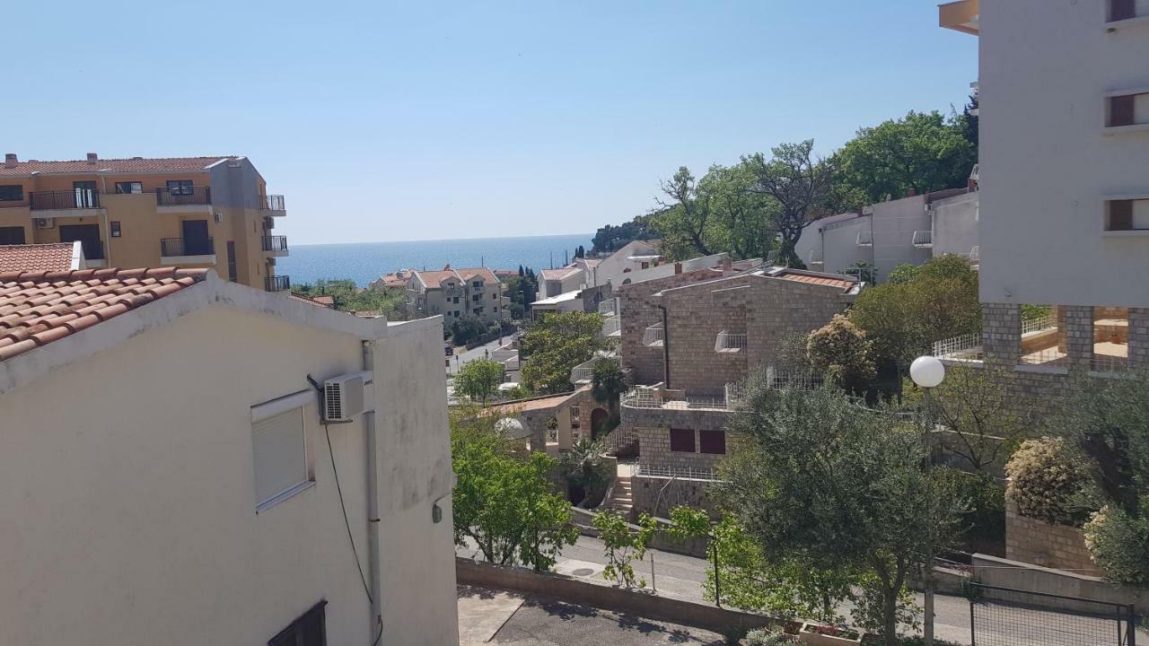 Apartmani Irena Petrovac Стая снимка